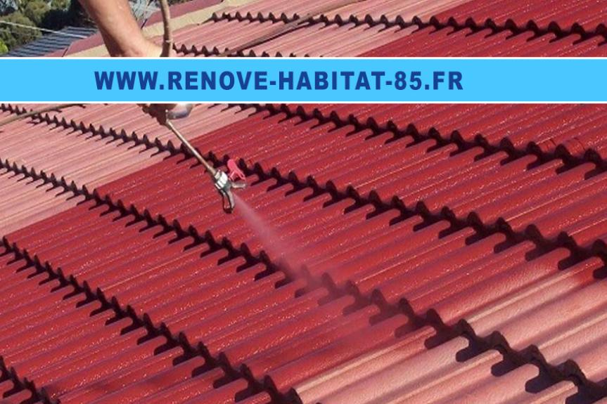 Nettoyage et traitement ravalement Challans